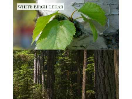 White Birch Cedar - Linen & Room Spray Hot on Sale