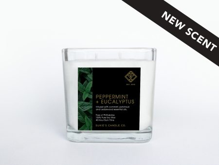 Peppermint + Eucalyptus 100% Pure Soy Double Wick Candle Fashion