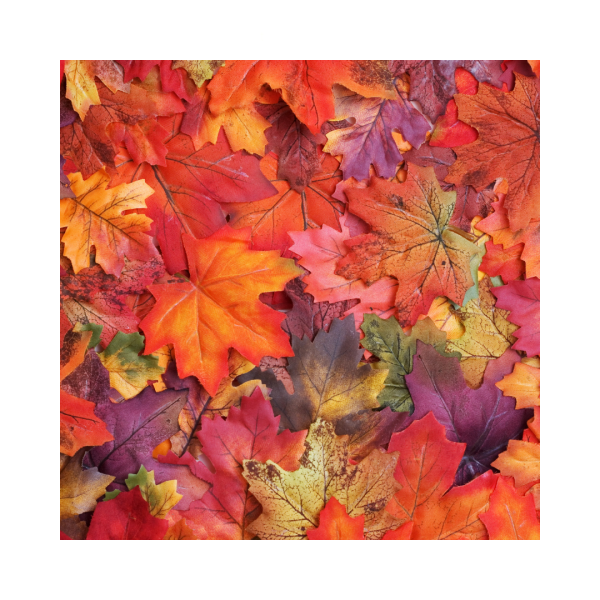 Leaves - Limited Autumn Candle Discount