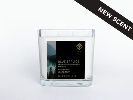 Blue Spruce 100% Pure Soy Double Wick Candle Discount