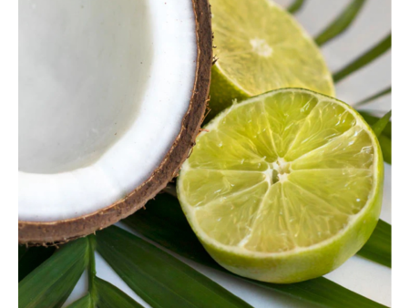 Coconut Lime Verbena - Candle Online Sale