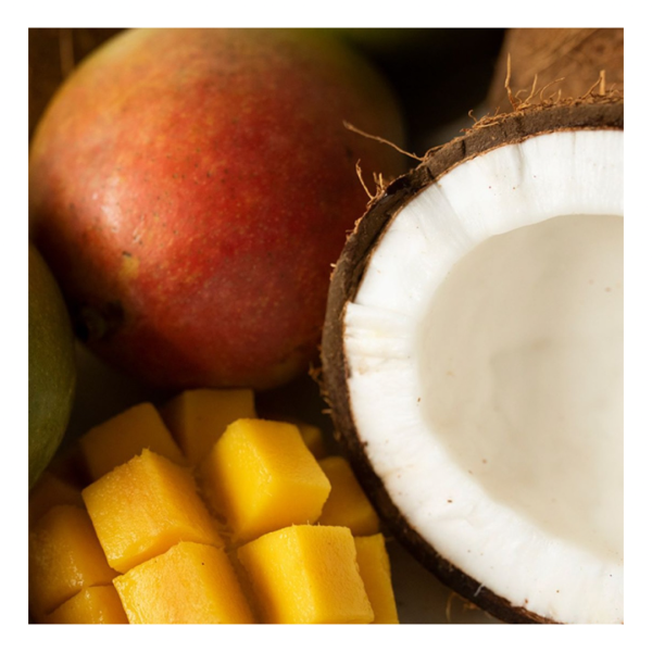 Mango Coconut Milk - Candle Supply