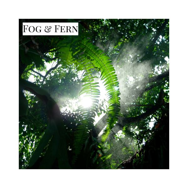 Fog & Fern - Candle Fashion