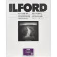 Ilford MULTIGRADE RC Deluxe Paper (Pearl, 16 x 20 , 10 Sheets) Online Sale