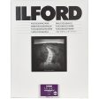 Ilford Multigrade RC Deluxe Pearl Paper Online Hot Sale